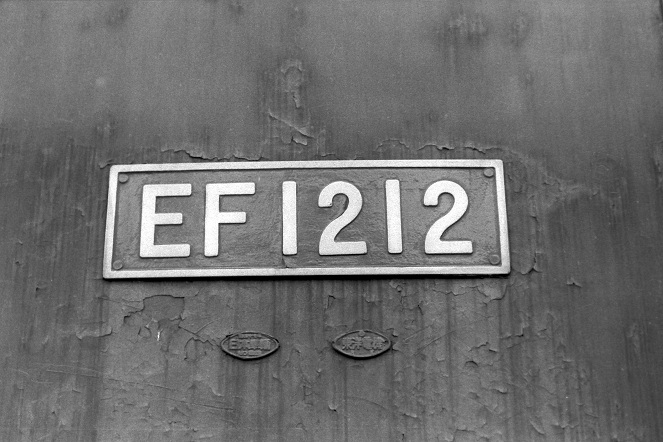 cEF12 12